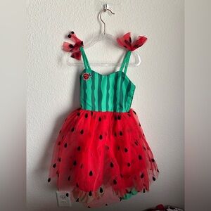 Watermelon Fairy Kids Costume